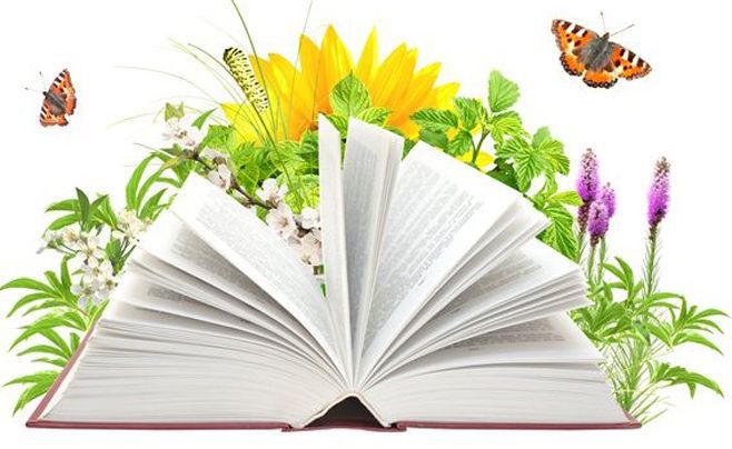 15 квітня – міжнародний день екологічних знань « Чортківська ...