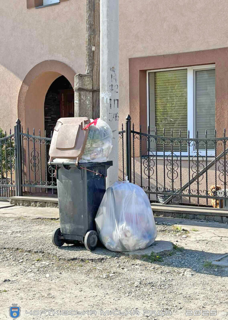 НЕ ЗАЛИШАЙТЕ СМІТТЯ ПОРУЧ ІЗ КОНТЕЙНЕРОМ: ЦЕ НЕ ПРОСТО НЕОХАЙНО – ЦЕ ПОРУШЕННЯ