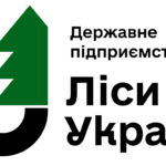 Про відкриття інформації щодо продажу деревини