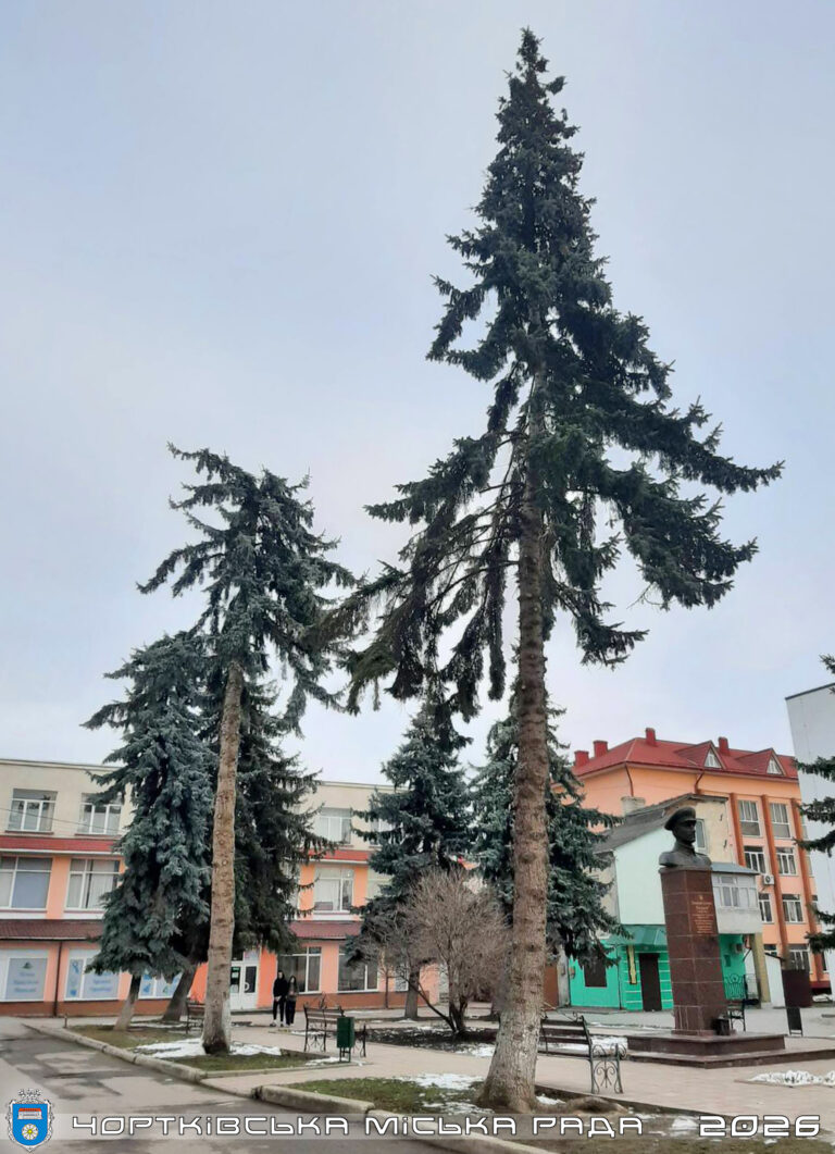 ЗРАДА ВІДМІНЯЄТЬСЯ: ПАРКОВКИ НА МІСЦІ ВИДАЛЕНИХ ДЕРЕВ У ЦЕНТРІ ЧОРТКОВА НЕ БУДЕ  ЩО Ж ВІДБУВАЄТЬСЯ НАСПРАВДІ?
