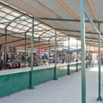 У ЧОРТКОВІ СТВОРИЛИ БЕЗКОШТОВНІ ТОРГОВІ МІСЦЯ ДЛЯ ВИРОБНИКІВ ВЛАСНОЇ СІЛЬСЬКОГОСПОДАРСЬКОЇ ПРОДУКЦІЇ