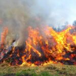 НЕ ПАЛІТЬ СУХУ ТРАВУ – ЦЕ НЕБЕЗПЕЧНО ТА КАРАЄТЬСЯ ШТРАФОМ!