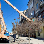 У ЧОРТКОВІ ТРИВАЄ ВЕСНЯНА ОБРІЗКА ЗЕЛЕНИХ НАСАДЖЕНЬ