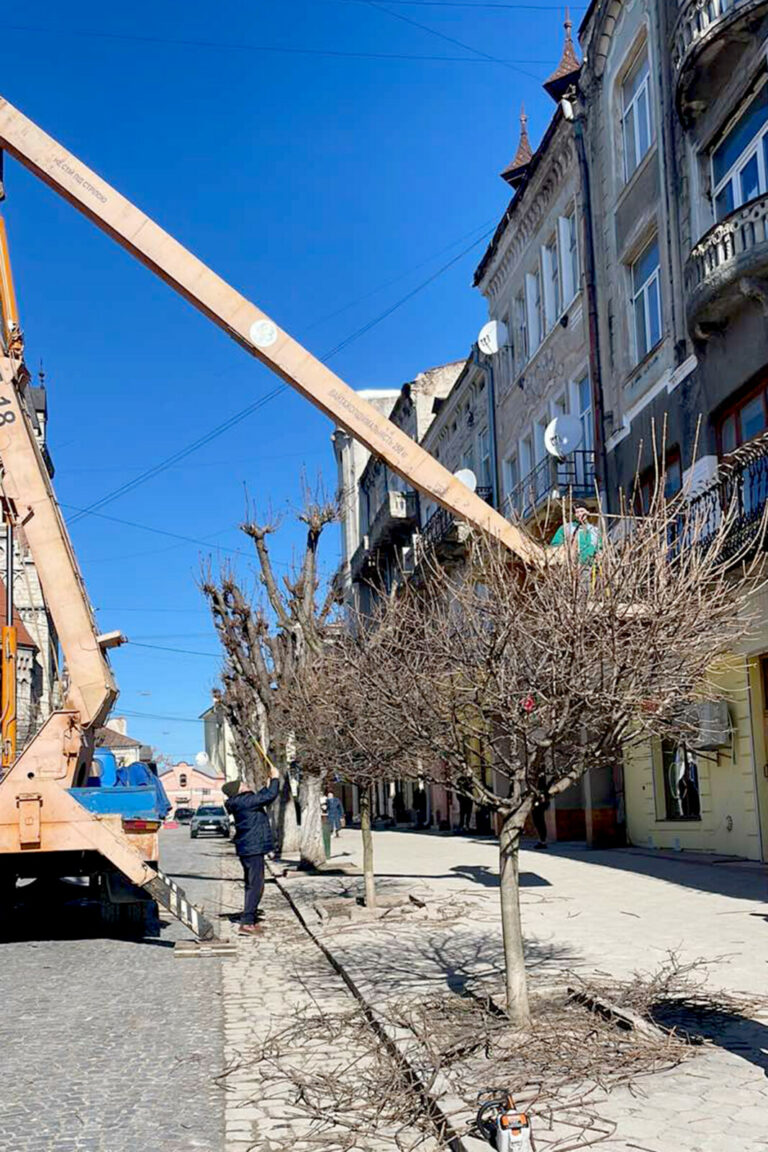 У ЧОРТКОВІ ТРИВАЄ ВЕСНЯНА ОБРІЗКА ЗЕЛЕНИХ НАСАДЖЕНЬ