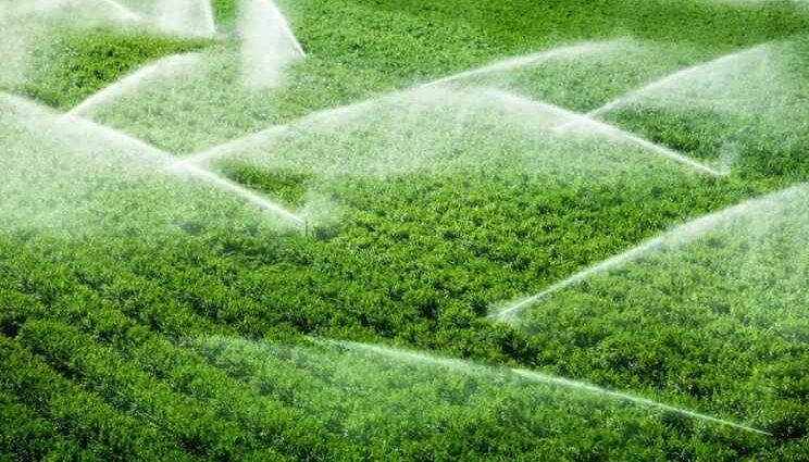 Щодо застосування законодавства про оцінку впливу на довкілля при здійсненні гідротехнічної меліорації