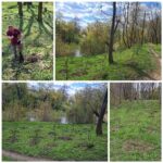 КОМУНАЛЬНИКИ ПРОДОВЖУЮТЬ ОЗЕЛЕНЮВАТИ ПАРК ІМЕНІ ІВАНА ФРАНКА