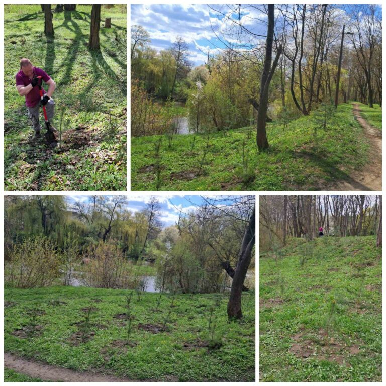 КОМУНАЛЬНИКИ ПРОДОВЖУЮТЬ ОЗЕЛЕНЮВАТИ ПАРК ІМЕНІ ІВАНА ФРАНКА
