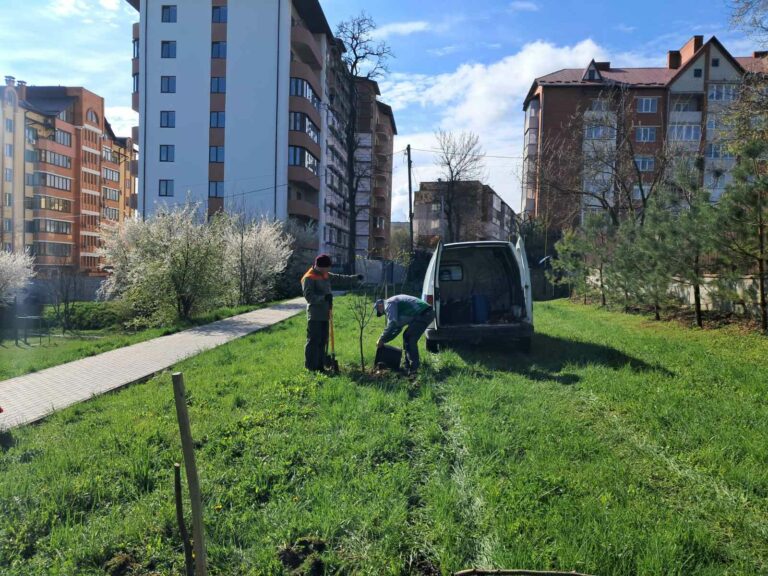 НАД ЧИМ ПРАЦЮВАЛИ КОМУНАЛЬНІ СЛУЖБИ ЧОРТКІВСЬКОЇ ГРОМАДИ ПРОТЯГОМ МИНУЛОГО ТИЖНЯ?