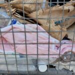 СОРТУЙ РОЗУМНО! НЕ ВИКИДАЙТЕ В КОНТЕЙНЕРИ ДЛЯ ПЕТ-ПЛЯШОК ІНШІ ВІДХОДИ!