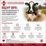 ПРО НЕБЕЗПЕКУ СКАЗУ ТА ЯЩУРА ГОВОРИЛИ У МІСЬКІЙ РАДІ