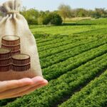 СПЛАТИ ЗЕМЕЛЬНИЙ ПОДАТОК – ТВОЇ КОШТИ ПРАЦЮЮТЬ ДЛЯ ЧОРТКІВСЬКОЇ ГРОМАДИ
