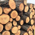 БЕЗКОШТОВНІ ДРОВА ДЛЯ СІМЕЙ ЗАГИБЛИХ, ПОМЕРЛИХ ТА БЕЗВІСТИ ЗНИКЛИХ ЗАХИСНИКІВ УКРАЇНИ