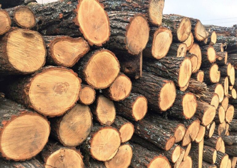 БЕЗКОШТОВНІ ДРОВА ДЛЯ СІМЕЙ ЗАГИБЛИХ, ПОМЕРЛИХ ТА БЕЗВІСТИ ЗНИКЛИХ ЗАХИСНИКІВ УКРАЇНИ